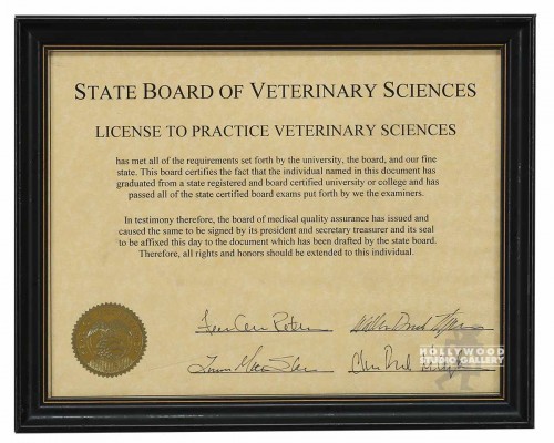 10X12 STATE BOARD/LICENSE/VET