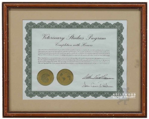 15X12 VETERINARY STUDIES/CERTIFICAT