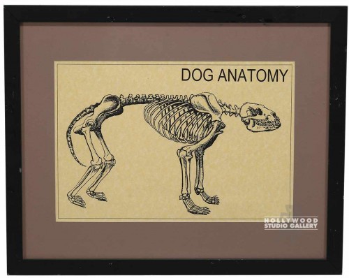 17X22 BLK FRAME/ DOG ANATOMY