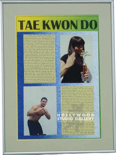19X14 MTL FRM/TAE KWON DO/DRAGON