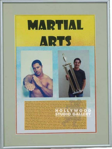 19X14 MTL FRM/ MARTIAL ARTS/