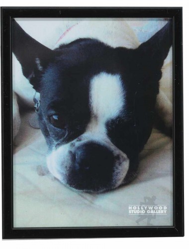 12X9 CLR PHTO/MISSY PRKR`S BOSTON T
