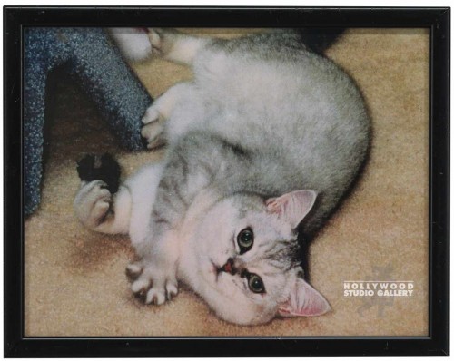 9X12 CLR PHTO/CAT/ CARIE`S CAT