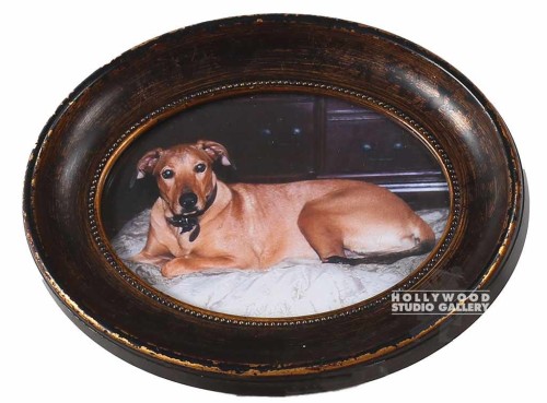 7x9 TABLETOP NICE DOGGIE