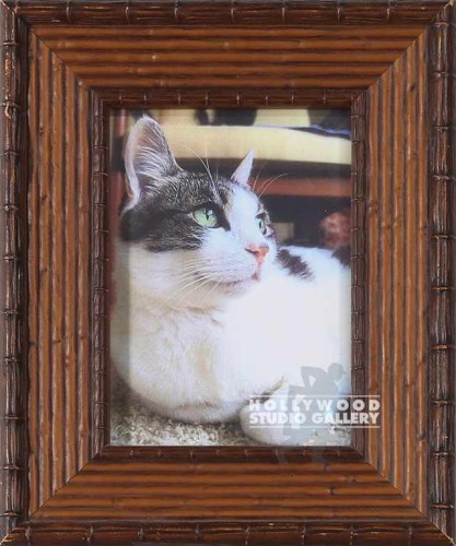 10X9 TABLETOP CUTE KITTY CAT