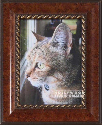 10X8 TABLETOP BEAUTIFUL CAT