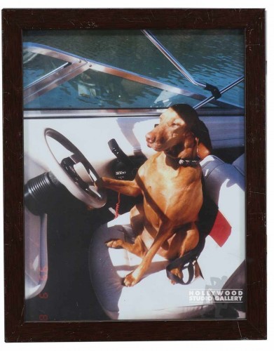 12X9 CLR PHTO/DOG RIDING WHITE BOAT