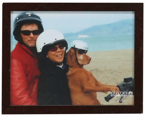 9X12 CLR PHTO/ DOG RIDING MTR CYCLE