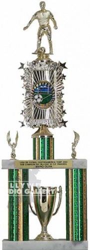 20" SOCCER TROPHY
