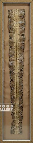 57X13 FRAMED SNAKE SKIN