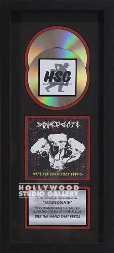 20X9 PLATINUM RECORD/C.D/BLACK FRM