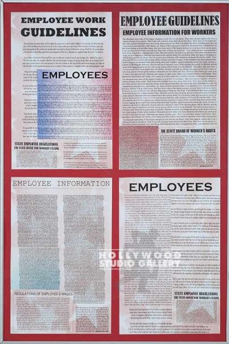 36X24 SLVR FRM/ EMPLOYEE GUIDELINES