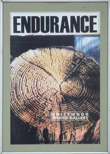 18X13 MOTIV. POSTER/FRM/ ENDURANCE