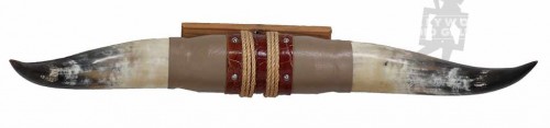 33x3" MEDIUM STEER HORNS
