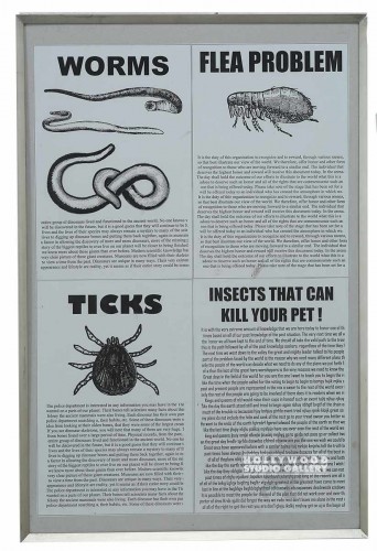 35X23MTL FRM/WORMS/TICKS/FLEA PROB.