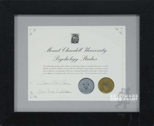 14X16 MNT.CHANDELL/CERT.PSYCHOLOGY