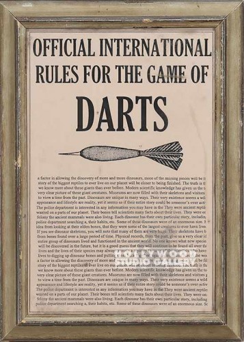19X14OFFICIAL INTERNATIONAL"DARTS"