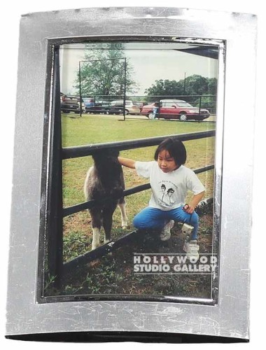 TABLETOP 7X5 LIL GIRL BABY ANIMAL