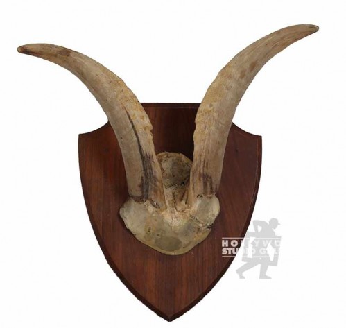 12x8" GOAT HORN PLAQUE