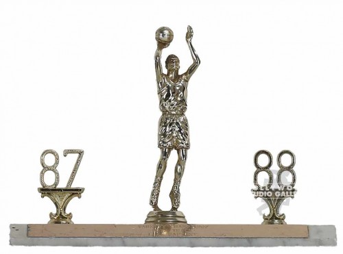 8x10x5" Baseball Trophy