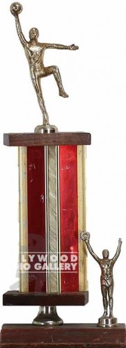 16" BASKETBALL TROPHY