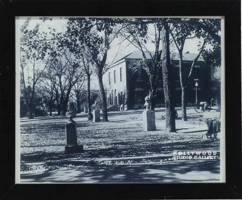 9X11 B/W CAMPUS/BUSTS/TREES/BLK