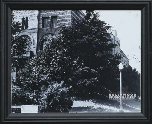 9X11 B/W SV=CHOOL BUILDNG/TREES/BLK