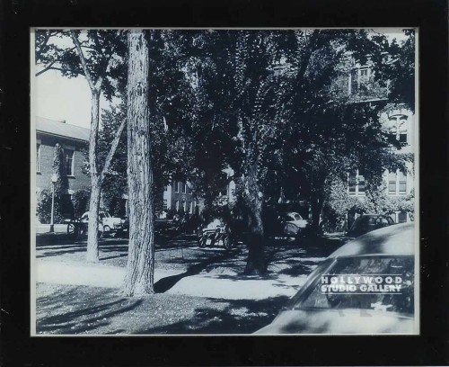 9X11 B/W SCHOOL CAMPUS/TREES/BLK