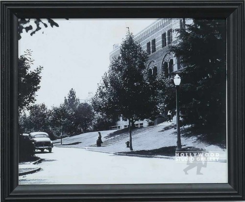 9X11 B/W SCHOOL STAIRS/TREES/ BLK