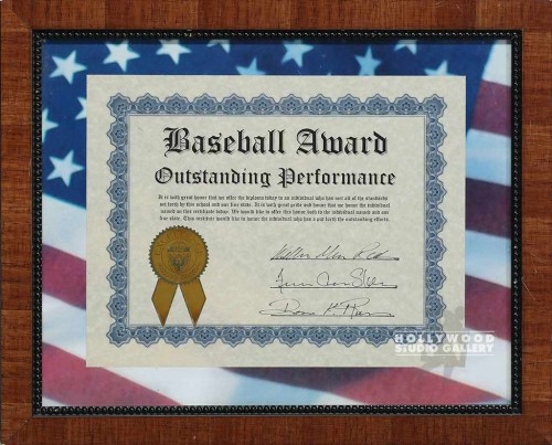 13X16FLG MAT/BASEBALL AWRD/BRWN FRM