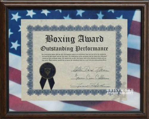 13X16FLG MAT/BOXING AWRD/ BRWN FRM