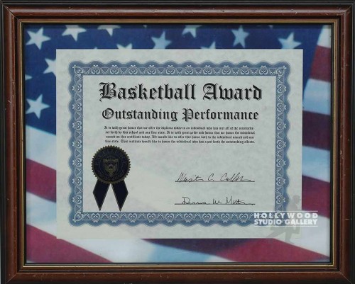 13X16FLG MAT/BASKETBALL AWRD/BRWN