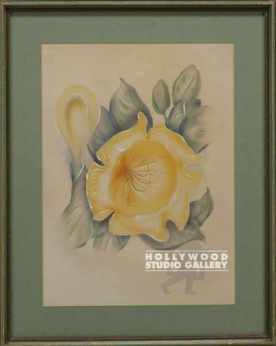 25x20 Yellow Floral/Period