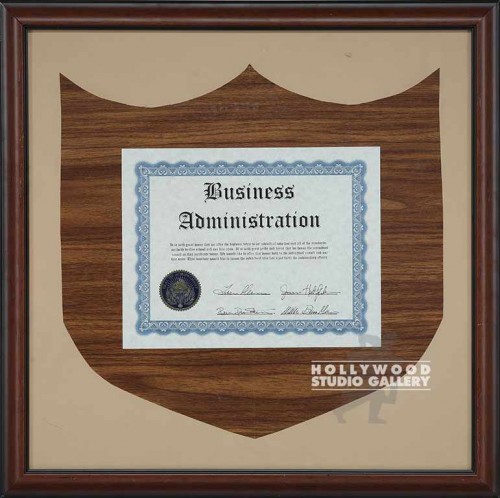 21X21 BUSINESS ADMNSTRN/BRWN FRM