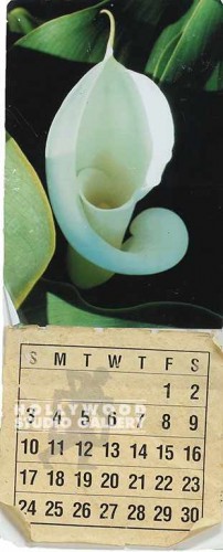 25X12 J.J CALENDAR/ LILI FLOWER