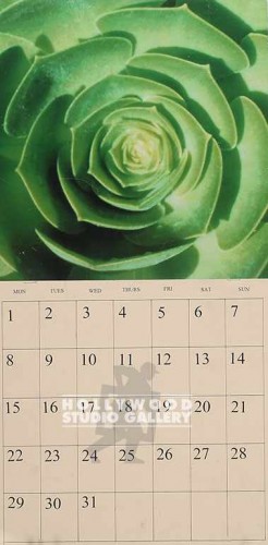 21X10 J.J CALENDAR/GREEN FLOWER