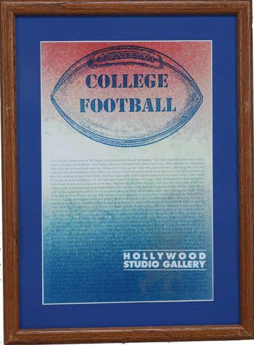 22X16 BRWN FRM/COLLEGE FTBALL/MAT