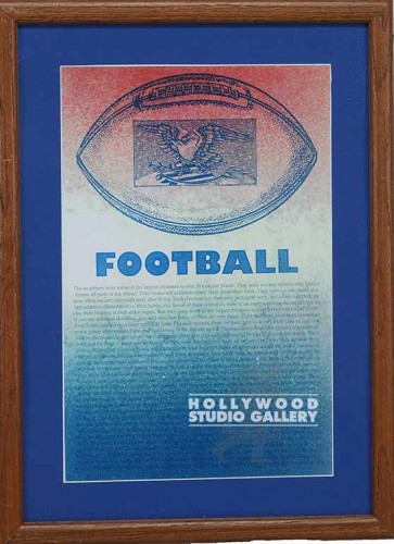 22X16 BRWN FRM/ FOOTBALL/ BLUE MAT
