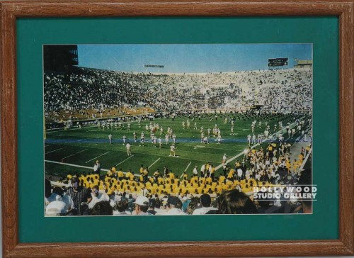 15X21BRWN FM/FOOTBALL STADIUMS/MAT