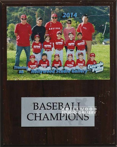 10X8WD PLAQUE/BASEBALL TEAM/FOTO