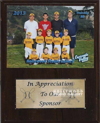 10X8WD PLAQUE/BASEBALL TEAM/FOTO