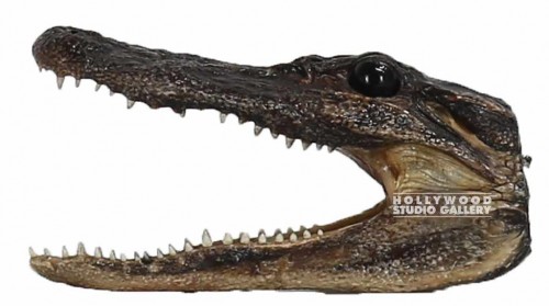 3X6 ALLIGATOR HEAD