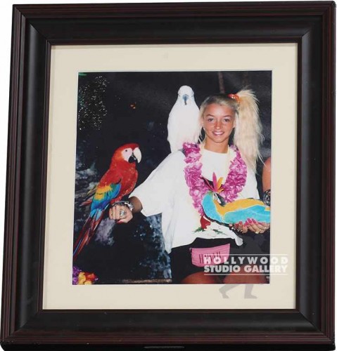 14X12 SWBF/ LISA AND PARROTS