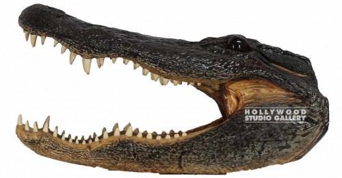 8X15 LARGE ALLIGATOR HEAD