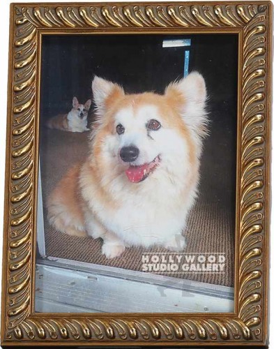 8X6 TABLETOP WESLEY THE CORGI DOG