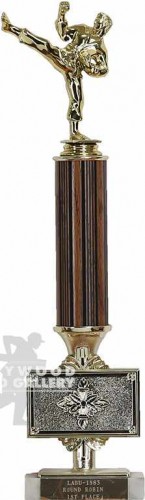 17" KARATE KID TROPHY