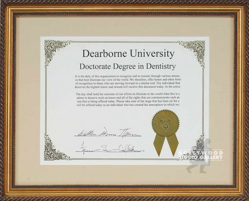 13X16 DOCTORATE DENTISTRY/GOLD FRM