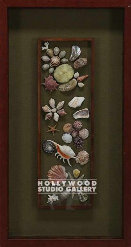 26X14 SEASHELLS SHADOWBOX/CHERRY