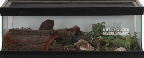7X20X10 TERRARIUM PLANTS/DINOSAURS