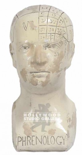 Phrenology Head Sculpture